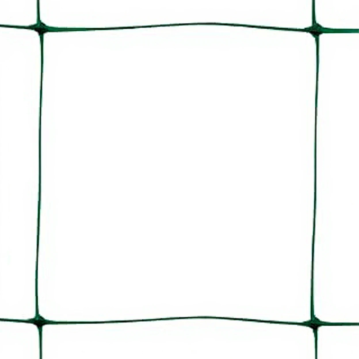 TENAX Flora Filet pour plantes grimpantes vert en polypropylène - 1,5 x 10 m image 0