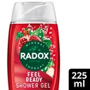 Radox Mineral Therapy Shower Gel Feel Ready 225ml image 2