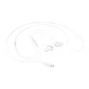 Samsung EO-IC100 Écouteurs filaires intra-auriculaires USB Type-C - Blanc image 8