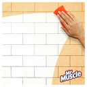 Mr Muscle Platinum Antibacterial Kitchen Cleaning Spray, Citrus, 750ml image 8