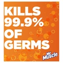 Mr Muscle Platinum Antibacterial Kitchen Cleaning Spray, Citrus, 750ml image 6