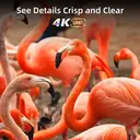 CHiQ U55P9V Téléviseur Android 4K UHD avec Dolby Vision et Google Assistant 139 cm image 1