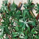 TENAX Divy 3D X-Tens Haie artificielle d'érable du Japon vert - 1 x 2 m image 1