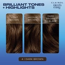 Clairol Nice'n Easy Permanent Hair Dye 4 Dark Brown 1 Pack image 3