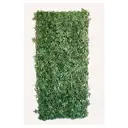 TENAX Divy 3D X-Tens Haie artificielle d'érable du Japon vert - 1 x 2 m image 3