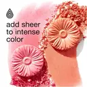 Clinique blush daisy - N° 05 Nude Pop image 2