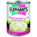 Twin Elephants Châtaignes d’eau en sirop - 565 g image 0