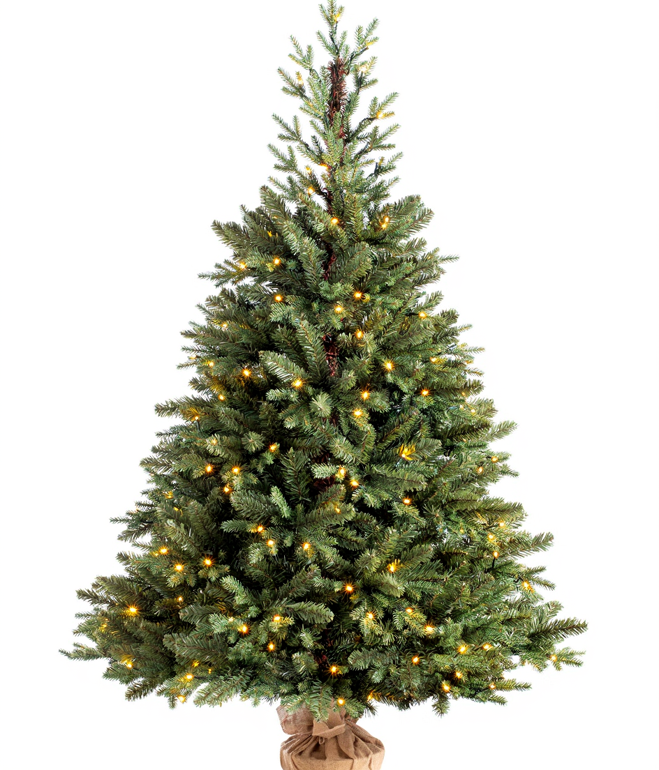 WeRChristmas Pre-Lit Norway Spruce Potted Christmas Tree, 4 ft
