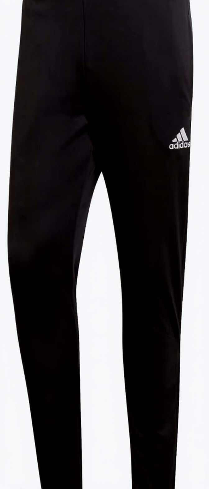 Adidas Entrada 22 Training Pant in Black
