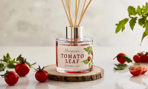 Explore diffusers and candles across all collections and sizes.