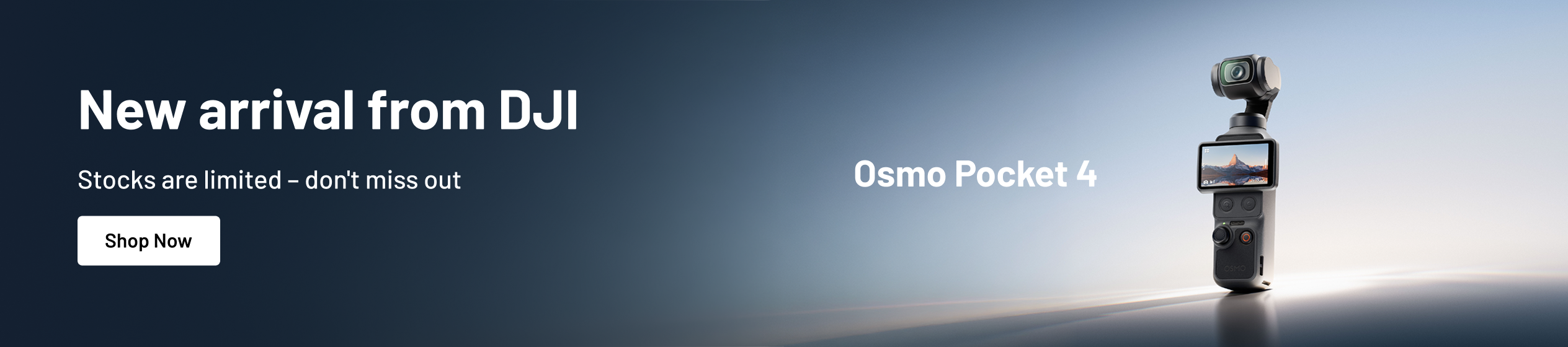 Big Promotion banner