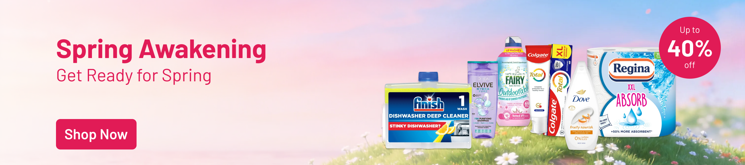 Big Promotion banner