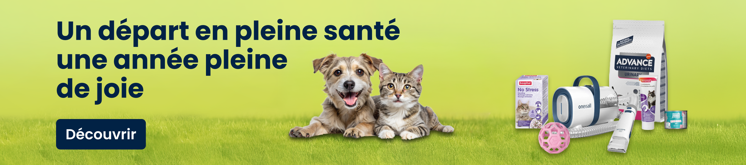 Big Promotion banner