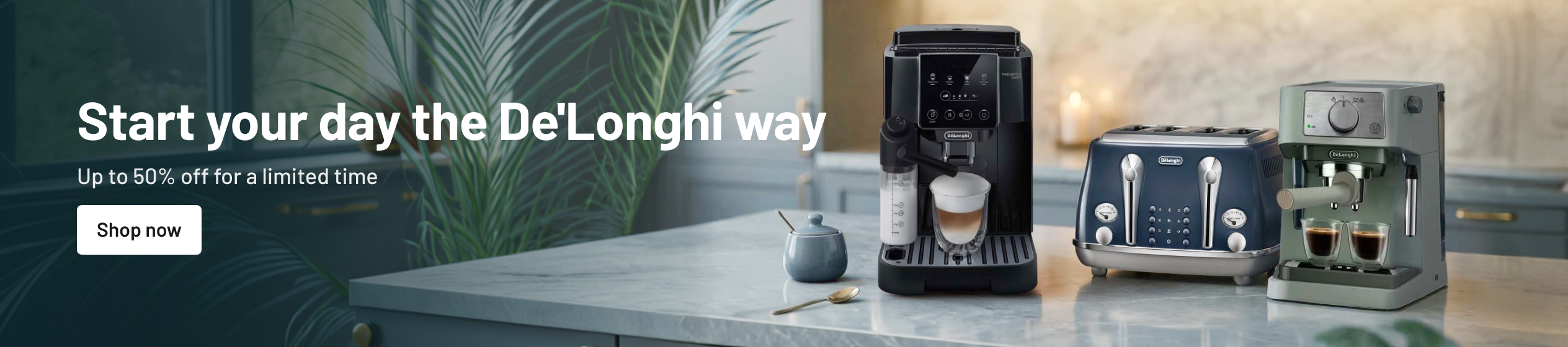 Big Promotion banner