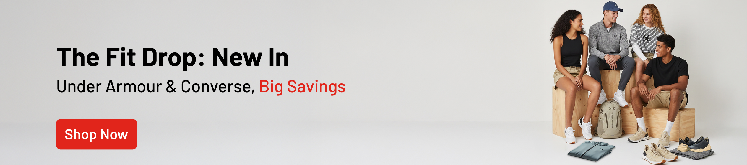 Big Promotion banner