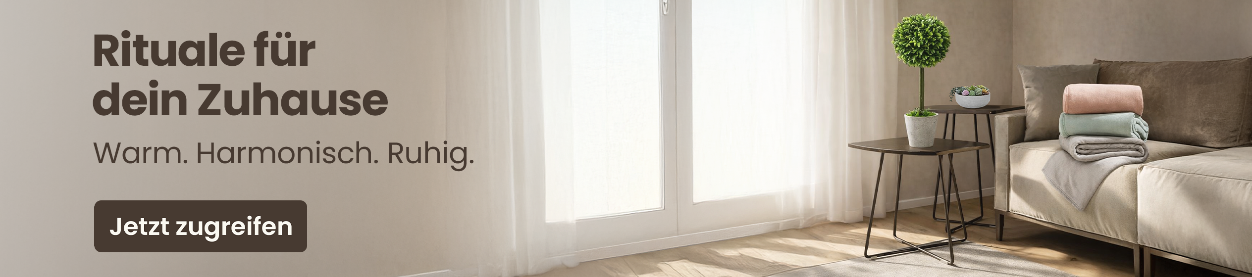 Big Promotion banner