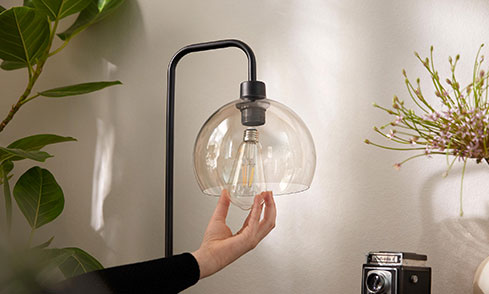 Standard & Filament LED bulbs in all popular fitting sizes including Bayonet, Edison Screw & Pin Base.