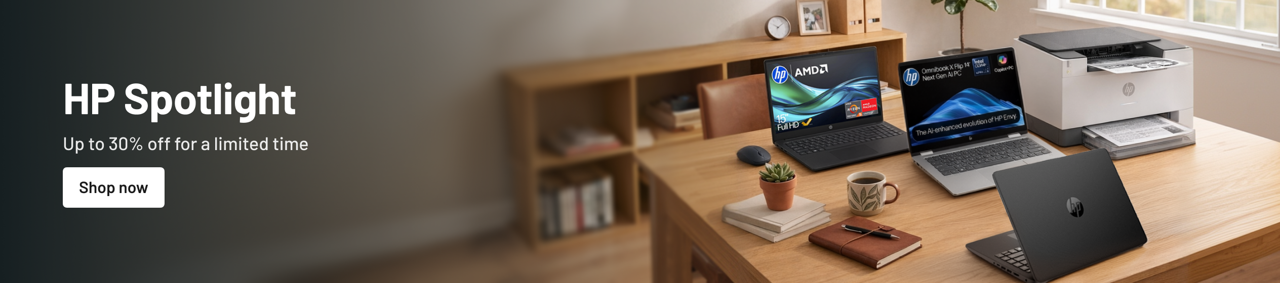 Big Promotion banner