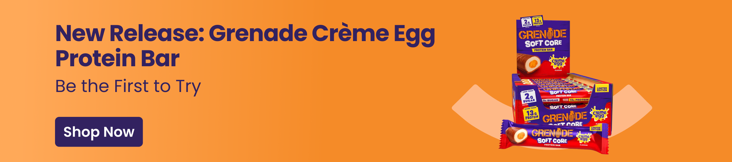 Big Promotion banner