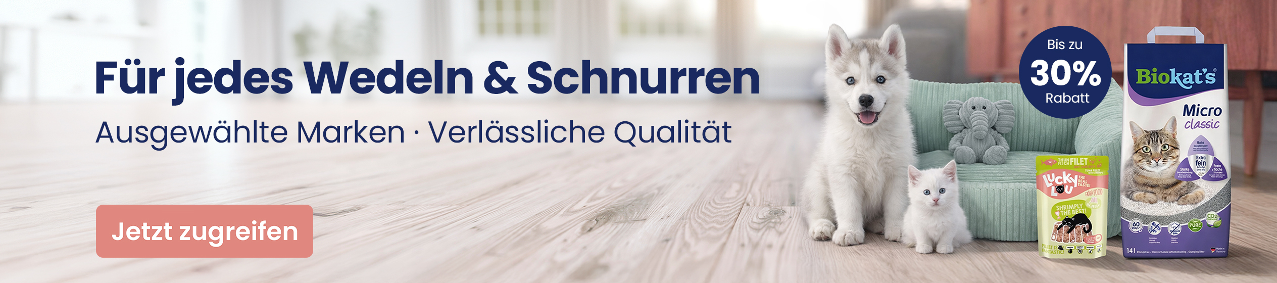 Big Promotion banner