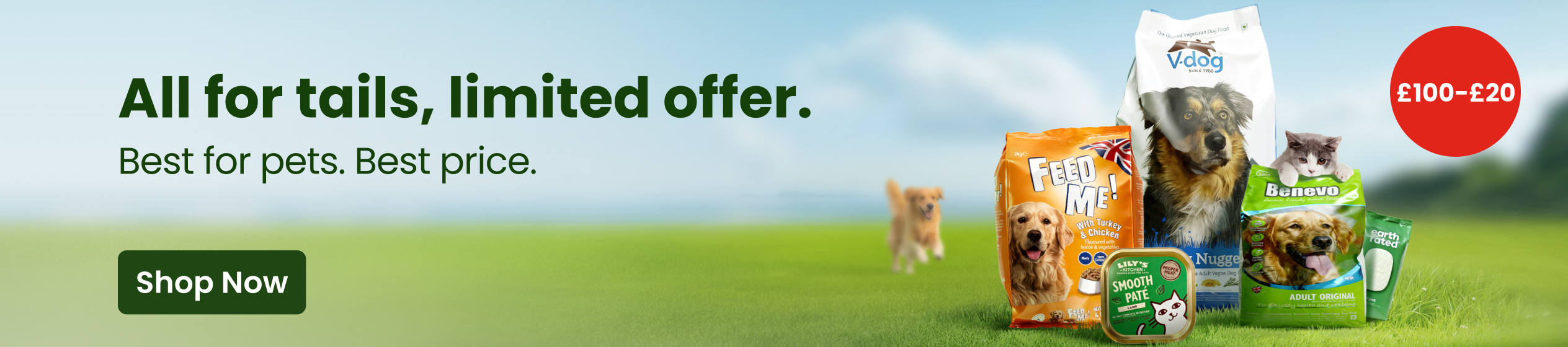 Big Promotion banner