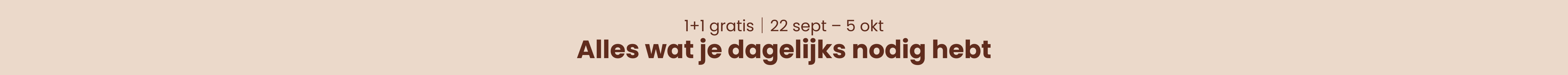 Promotion banner