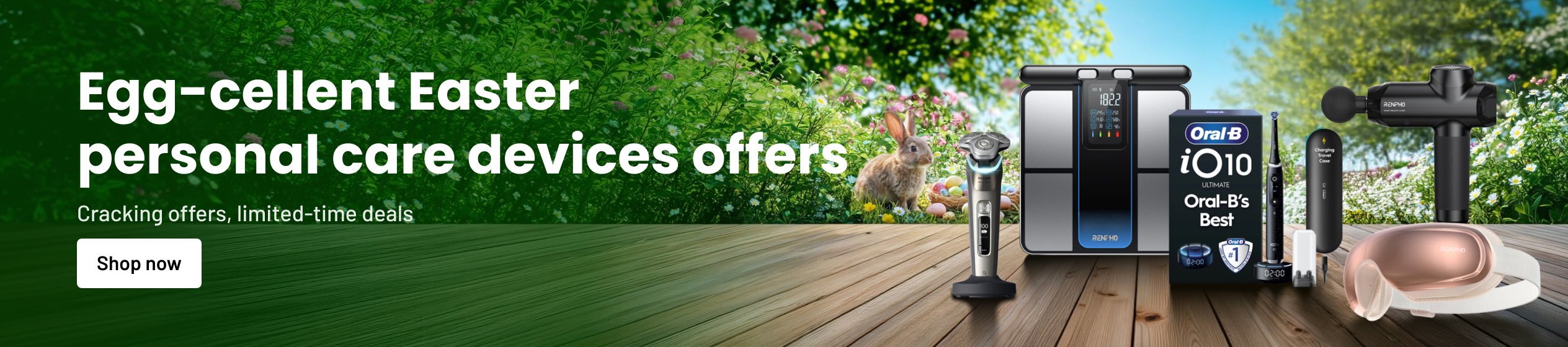 Big Promotion banner