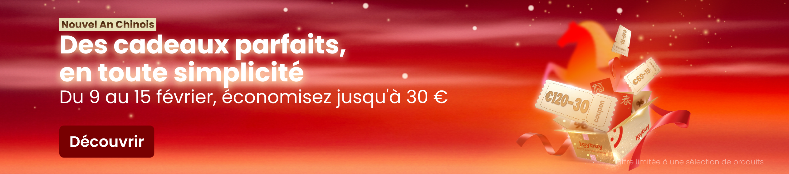 Big Promotion banner