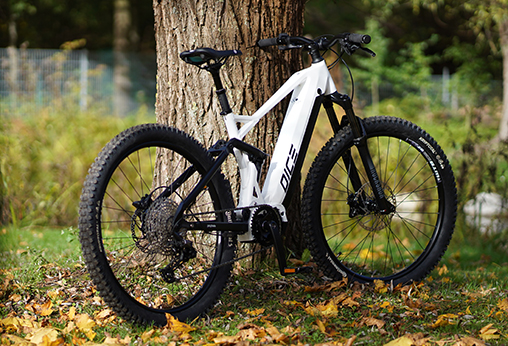 De Prophete MTB E-Bikes zijn thuis op elk terrein. Met de krachtige e-bike motoren kun je hellingen moeiteloos overwinnen.