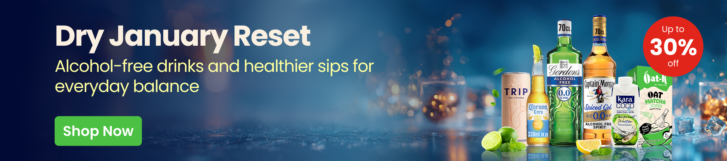 Big Promotion banner