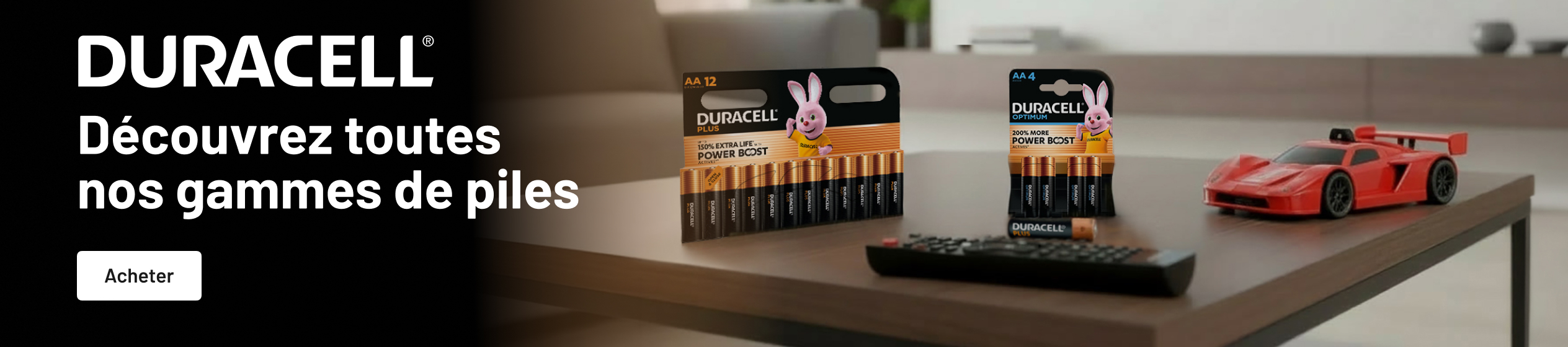 Big Promotion banner