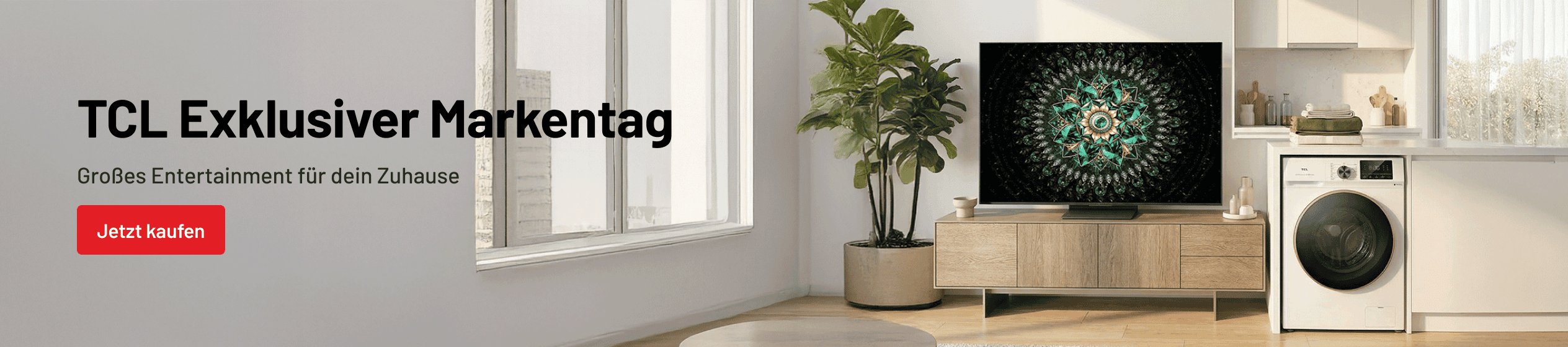 Big Promotion banner