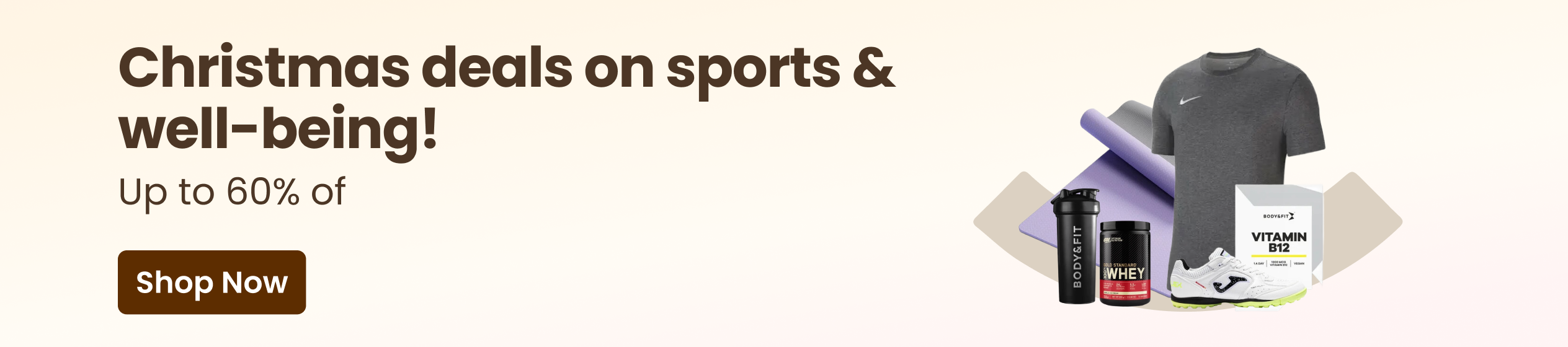 Big Promotion banner