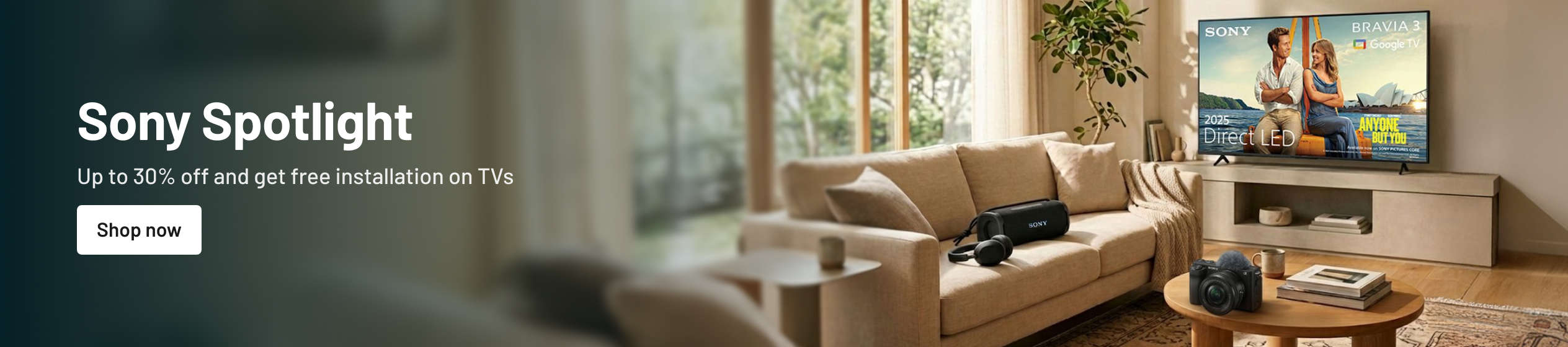 Big Promotion banner