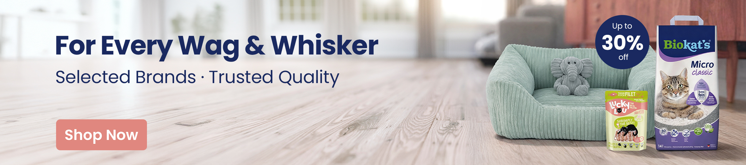 Big Promotion banner