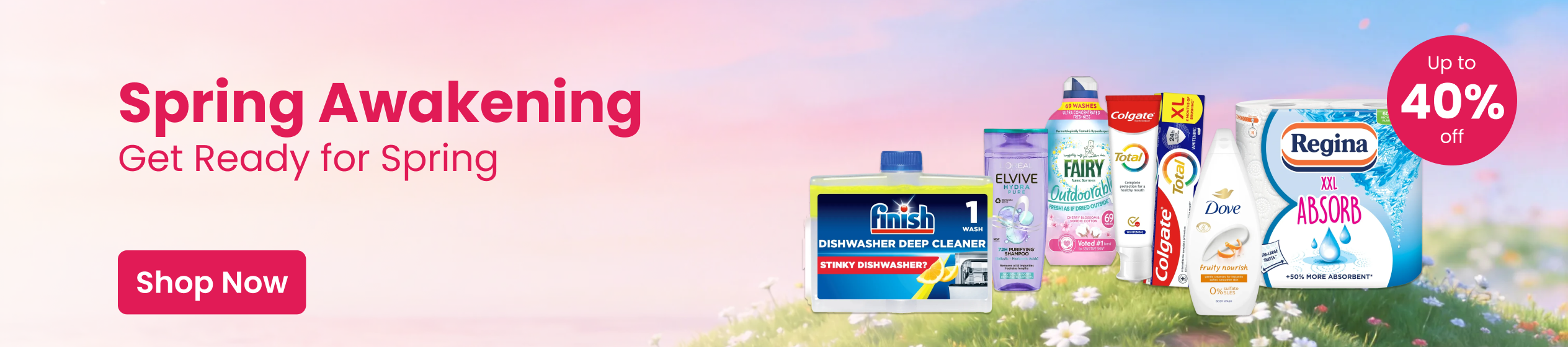 Big Promotion banner