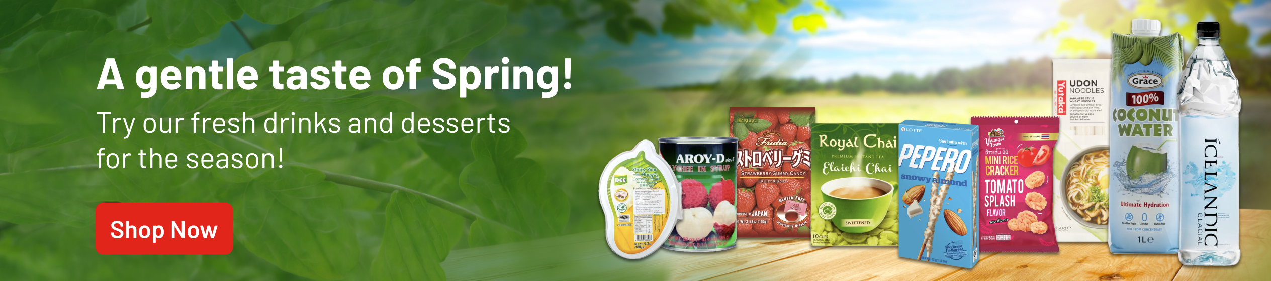 Big Promotion banner