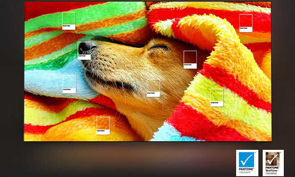 Der Inbegriff von Farbtreue ermöglicht die akkurate Darstellung von bis zu 2.140 Pantone-Farben und 110 hinzugefügten Hauttönen. ¹⁶