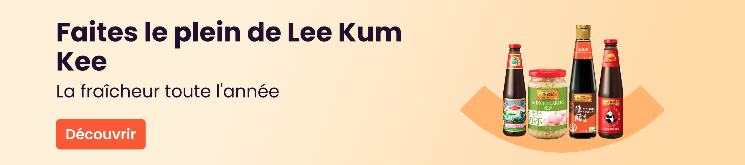 Big Promotion banner