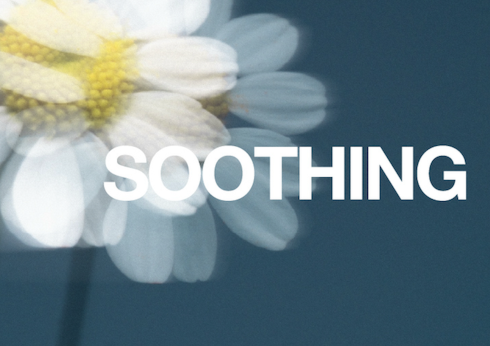 Fragrance with Linen, Chamomile and White Rose