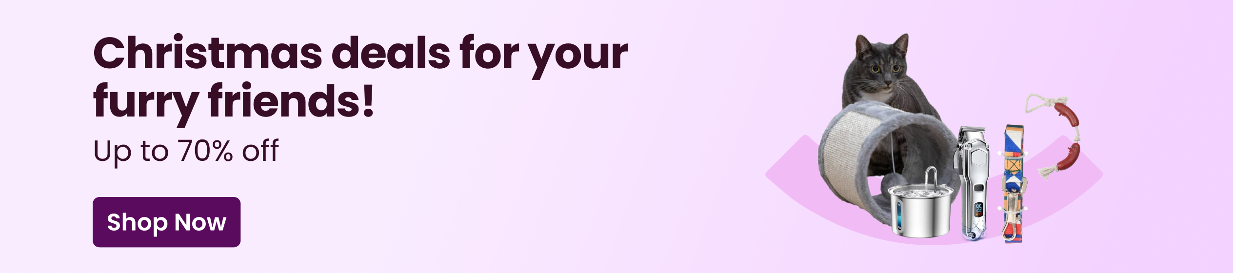 Big Promotion banner