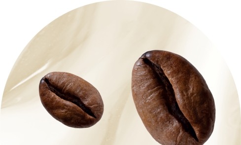 Freshly ground beans in every cup. Enjoy authentic espresso and aroma with automatic grinding and brewing.