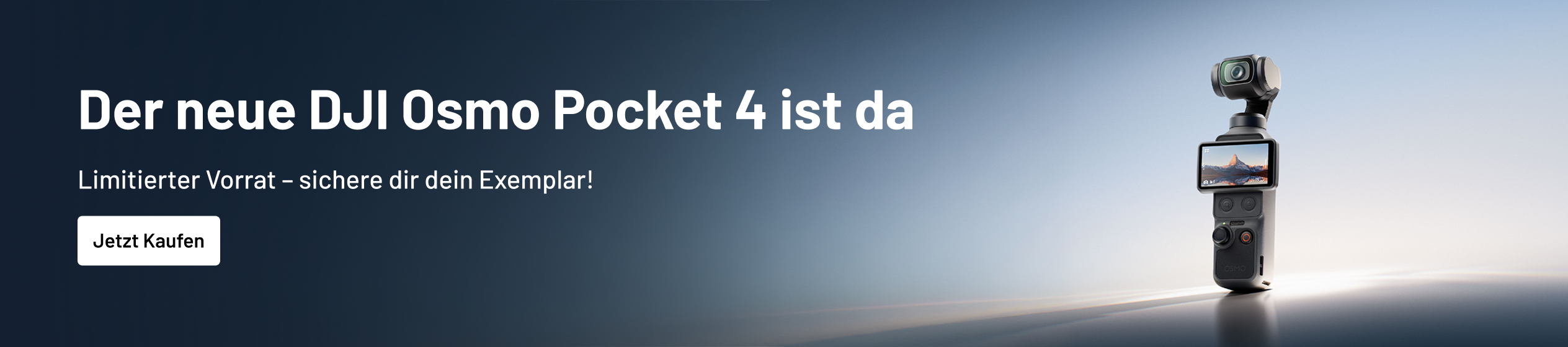 Big Promotion banner