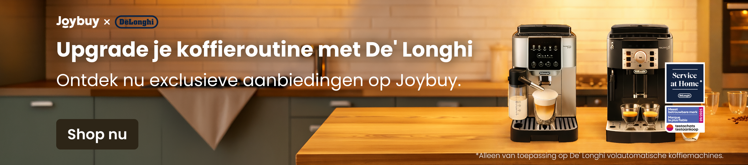 Big Promotion banner