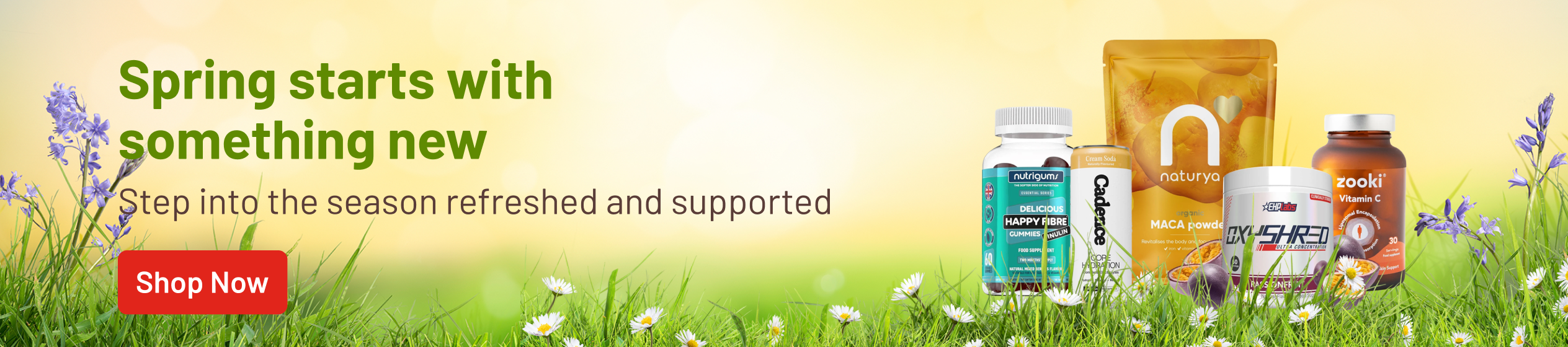 Big Promotion banner