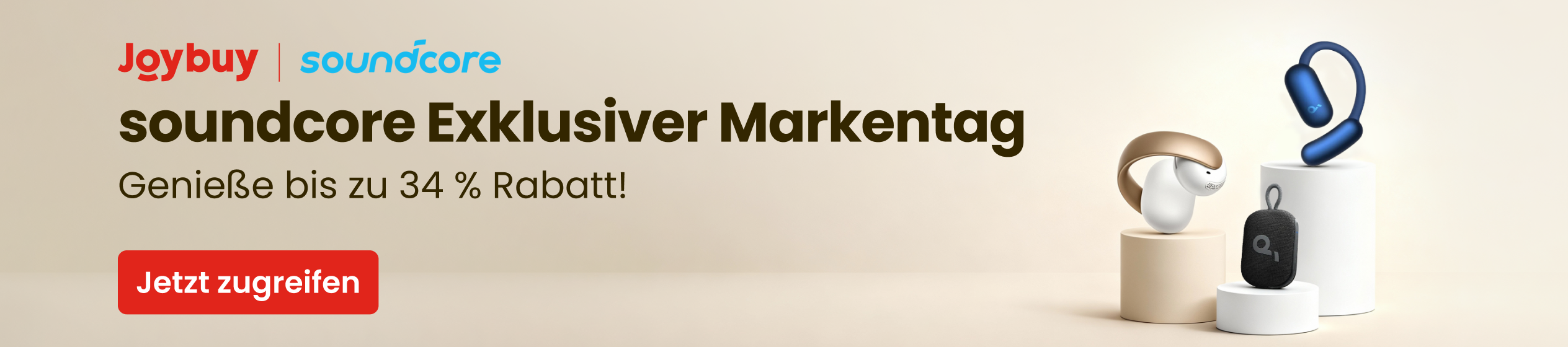 Big Promotion banner