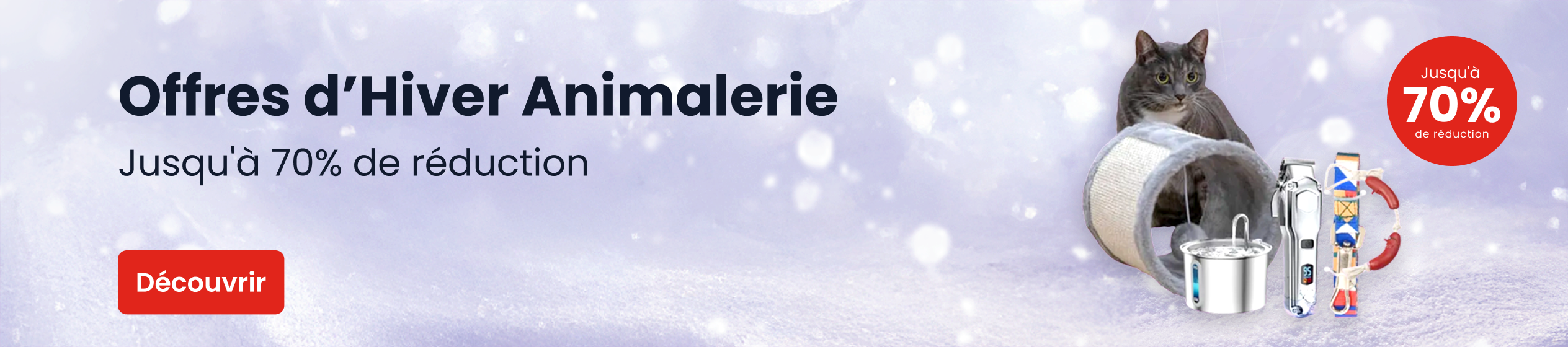 Big Promotion banner