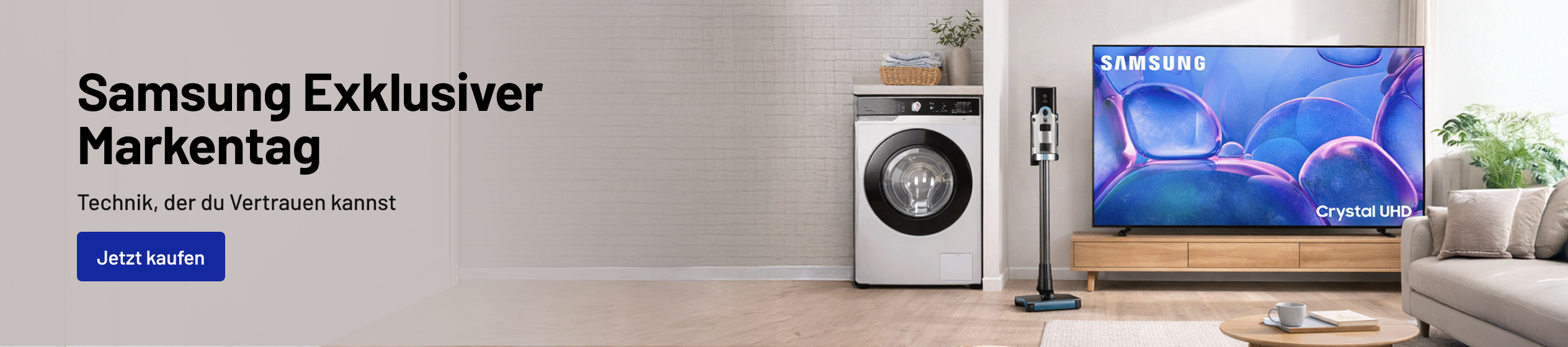 Big Promotion banner