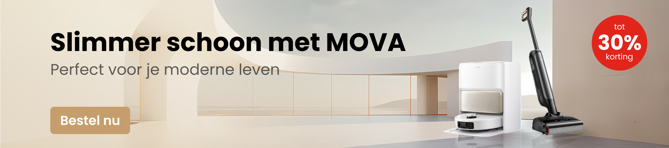 Big Promotion banner