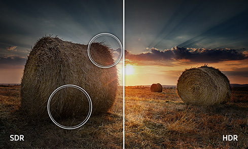 Das dynamische Tone Mapping von HDR10+ sorgt für tiefere Schwarztöne, lebendigere Farben und Details, die immer klar erkennbar bleiben.⁹